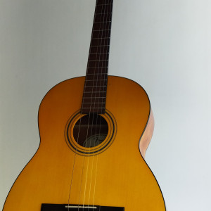 Обложка FENDER ESC-105 CLASSIC